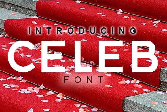 Celeb Typeface: Elevating Campaign Clarity with a Modern Sans Serif