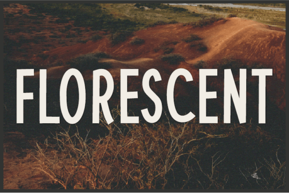Florescent: A Unique Sans Serif Typeface for Modern Brand Identity
