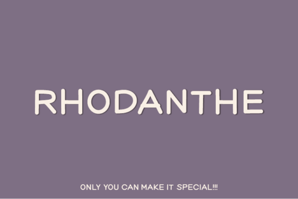 Rhodanthe: A Designer’s Honest Review